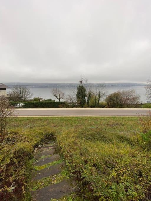La Roseliere Sud, Vue Lac & Jardin Sévrier Exteriör bild