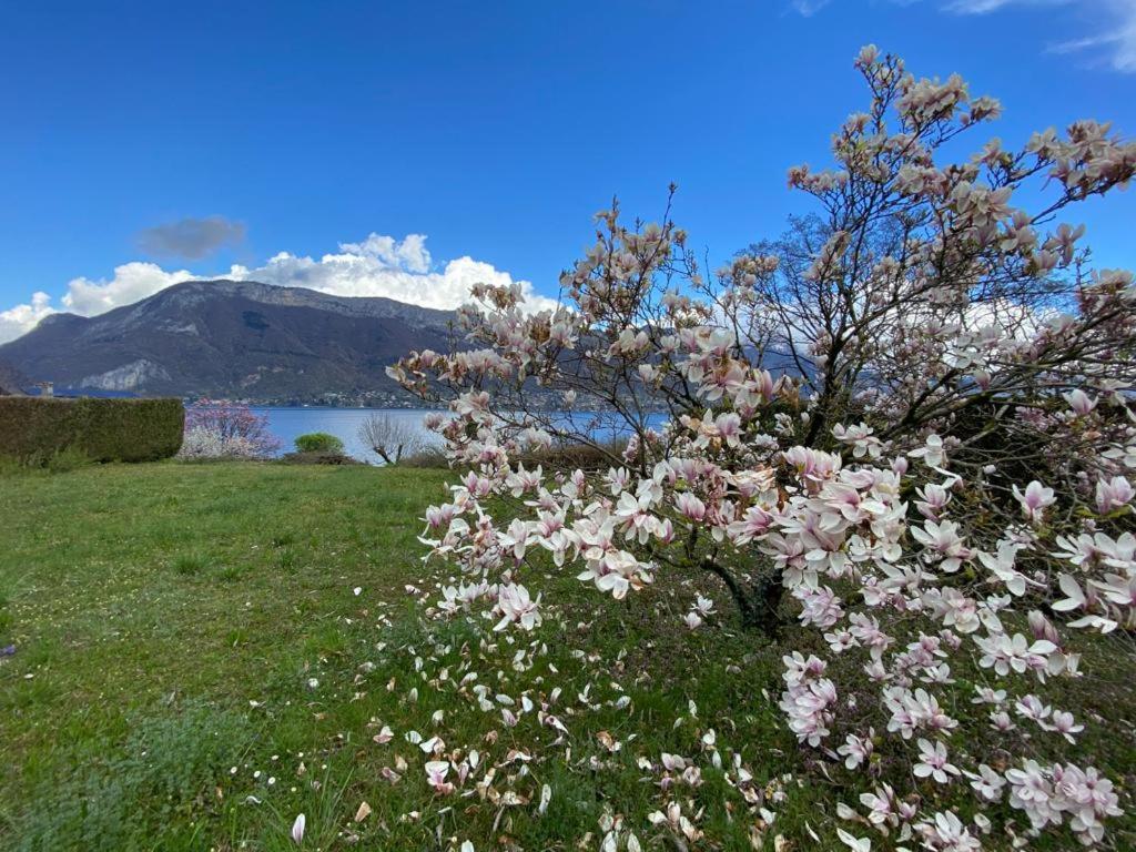La Roseliere Sud, Vue Lac & Jardin Sévrier Exteriör bild